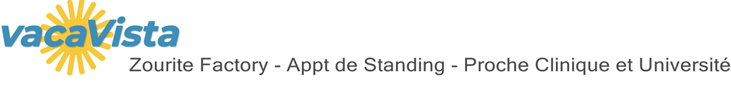 vacaVista - Zourite Factory - Appt de Standing - Proche Clinique et Université